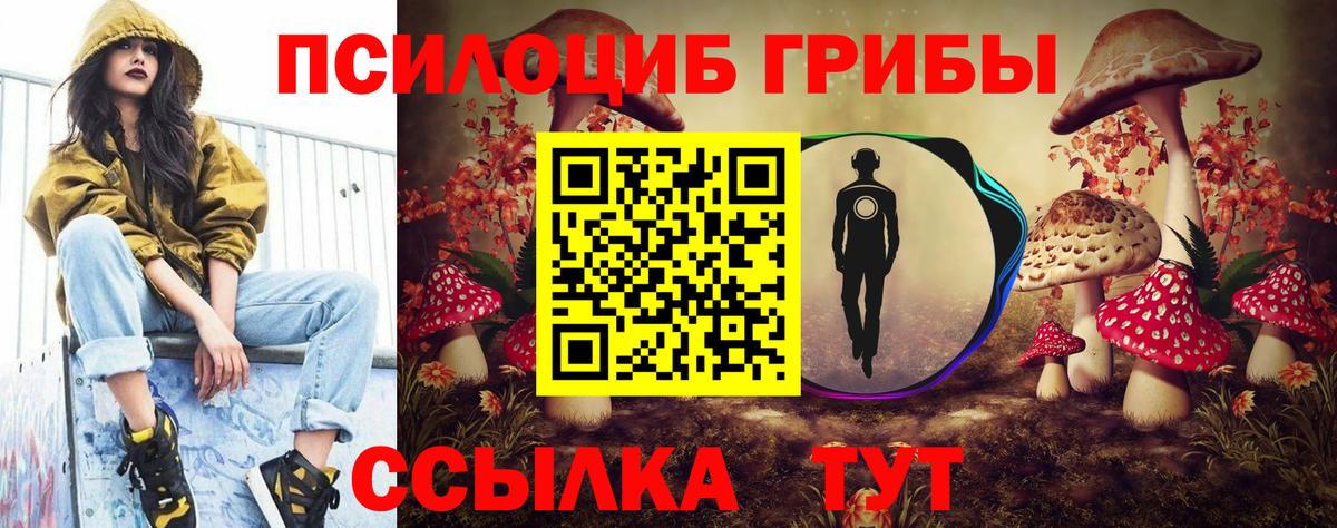 Белово  Псилоцибиновые грибы MAGIC MUSHROOMS  Вход с VPN 